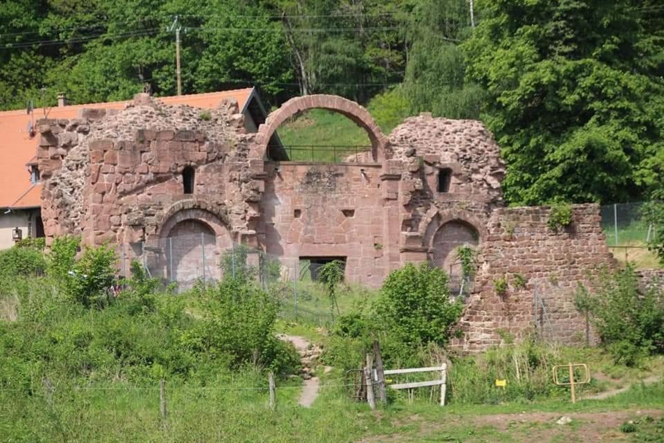 Appartamento L'Ourson Colmar Esterno foto