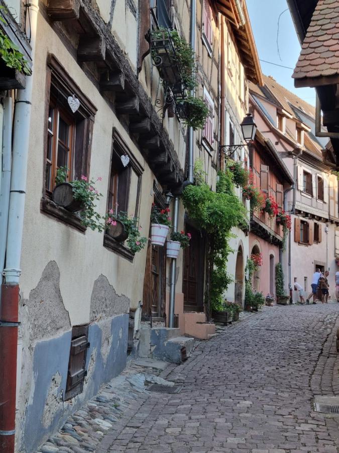 Appartamento L'Ourson Colmar Esterno foto