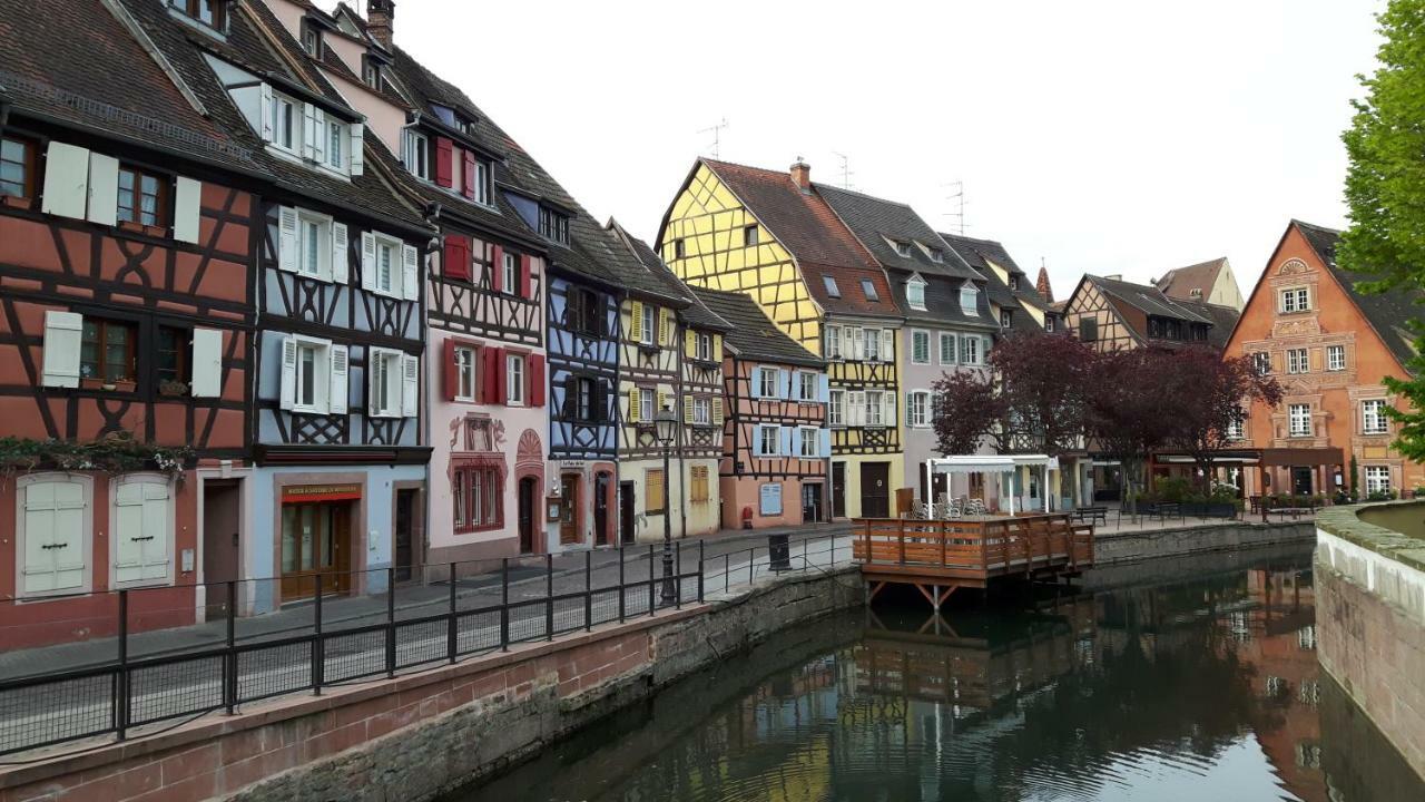 Appartamento L'Ourson Colmar Esterno foto