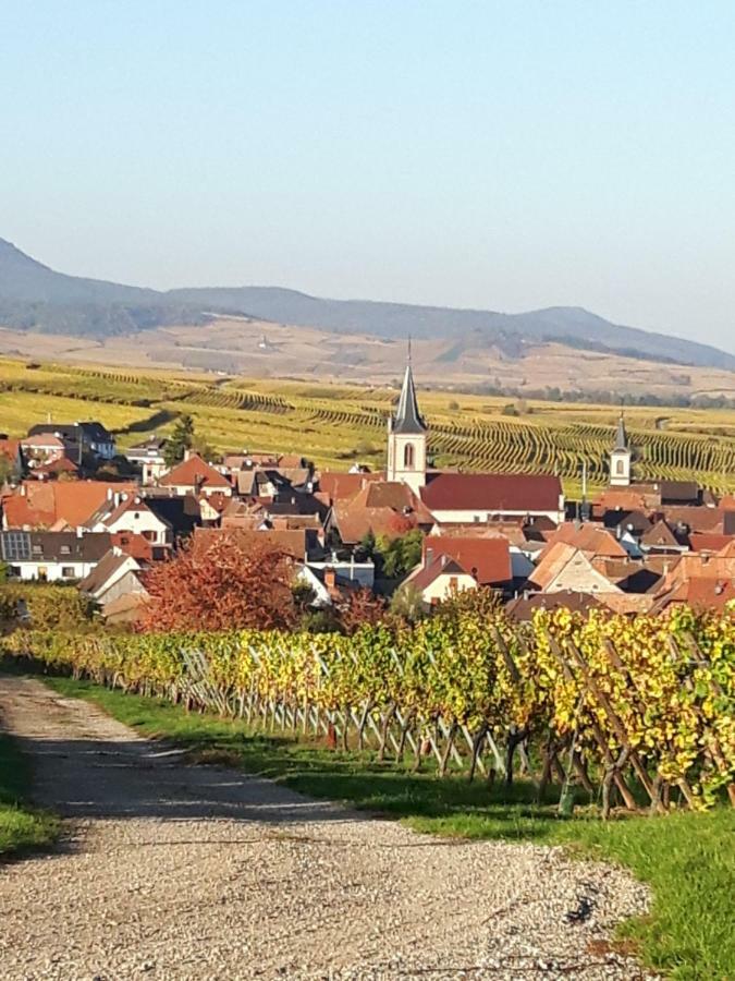 Appartamento L'Ourson Colmar Esterno foto